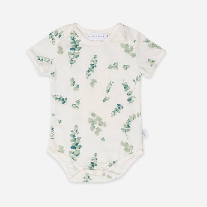 Eucalyptus Bodysuit: 6-12M