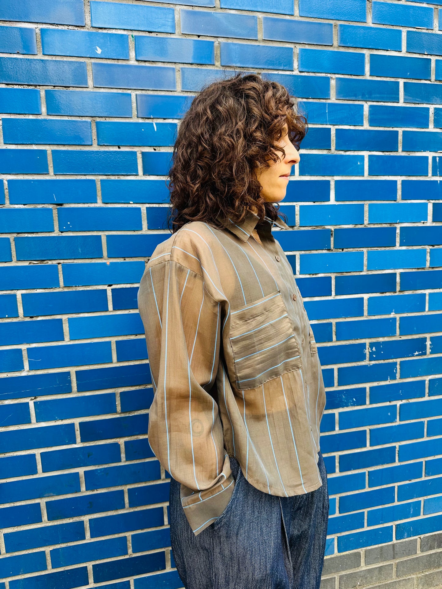 Silk mix vertical stripe shirts -Brown-