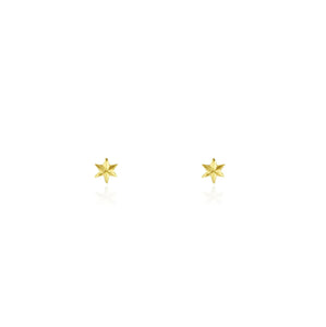 micro star studs gold vermeil